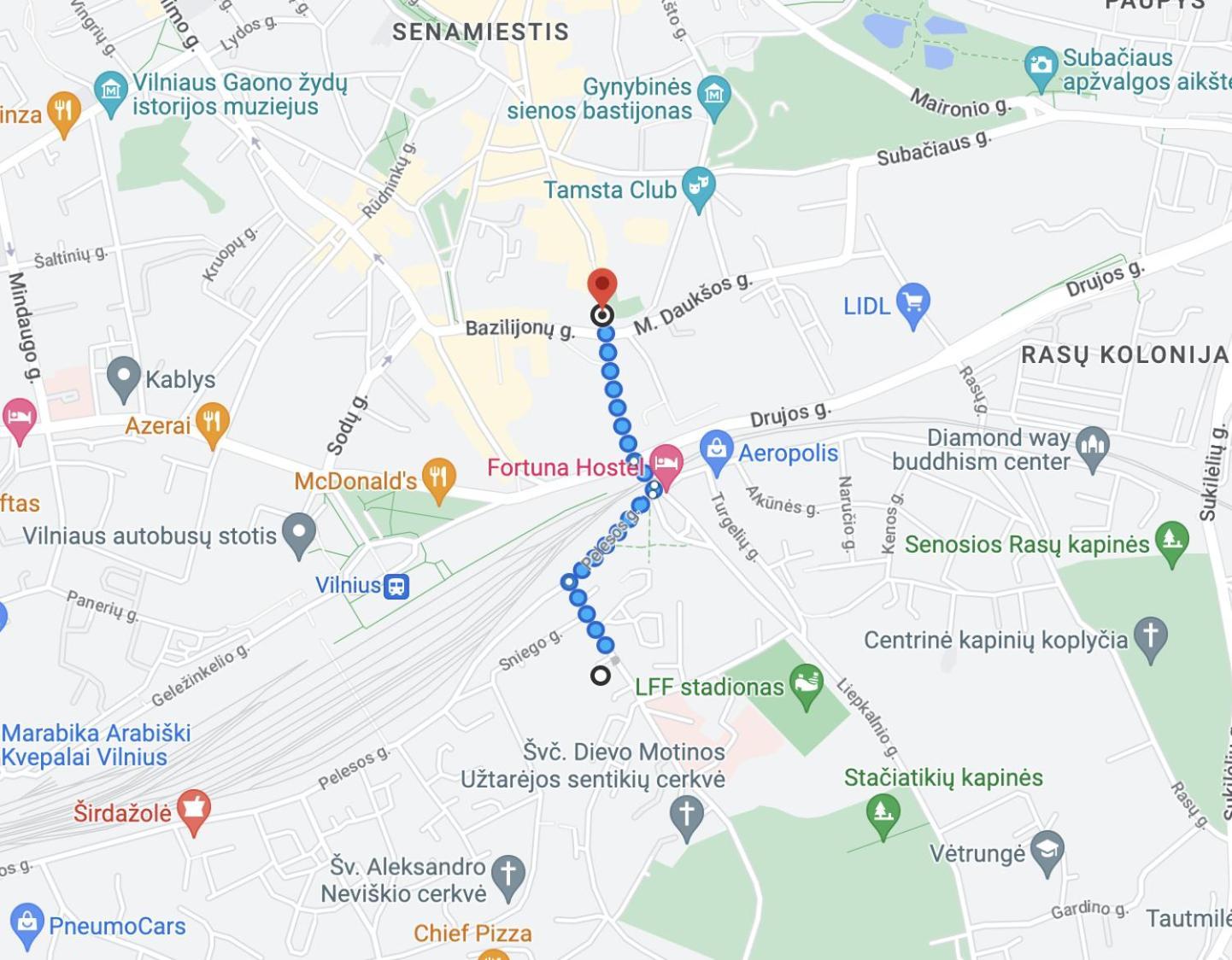 Near Gates Of Dawn / Modern 1 Bedroom / W/netflix Вильнюс